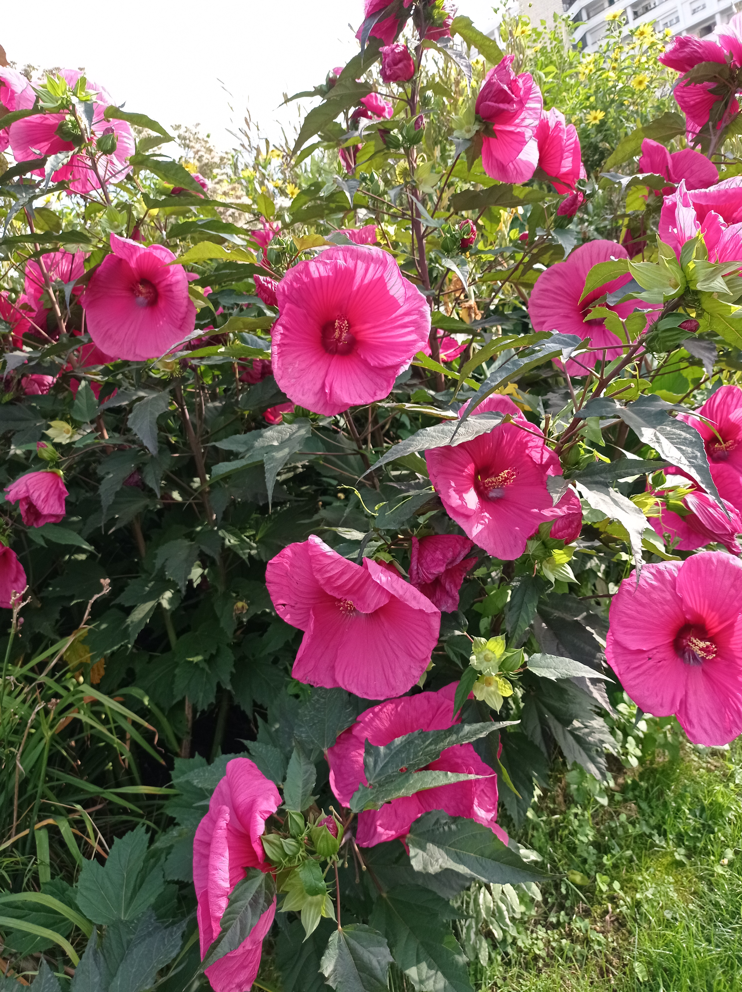 Uma Popovici's photo 1