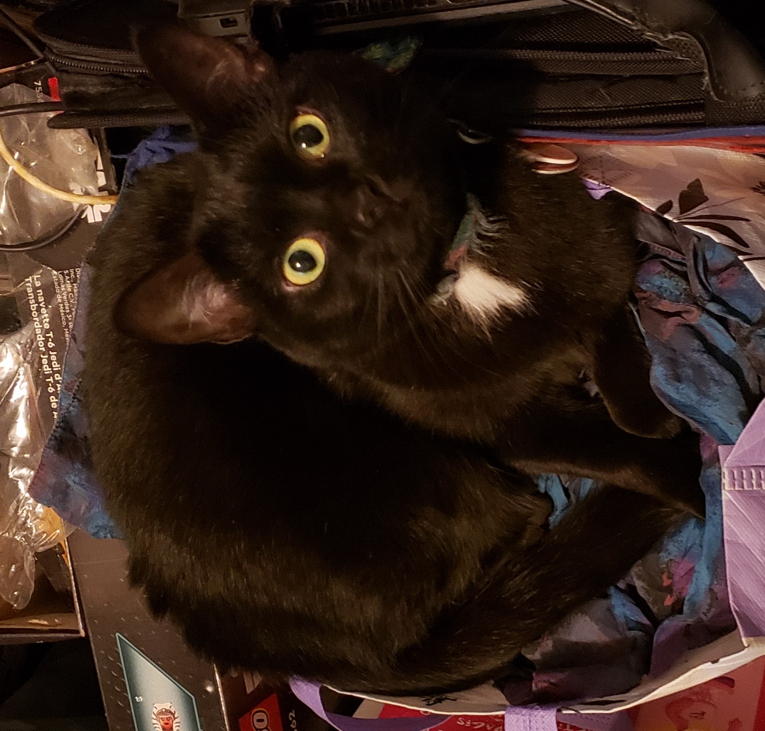 Connie L Duncan's photo 1