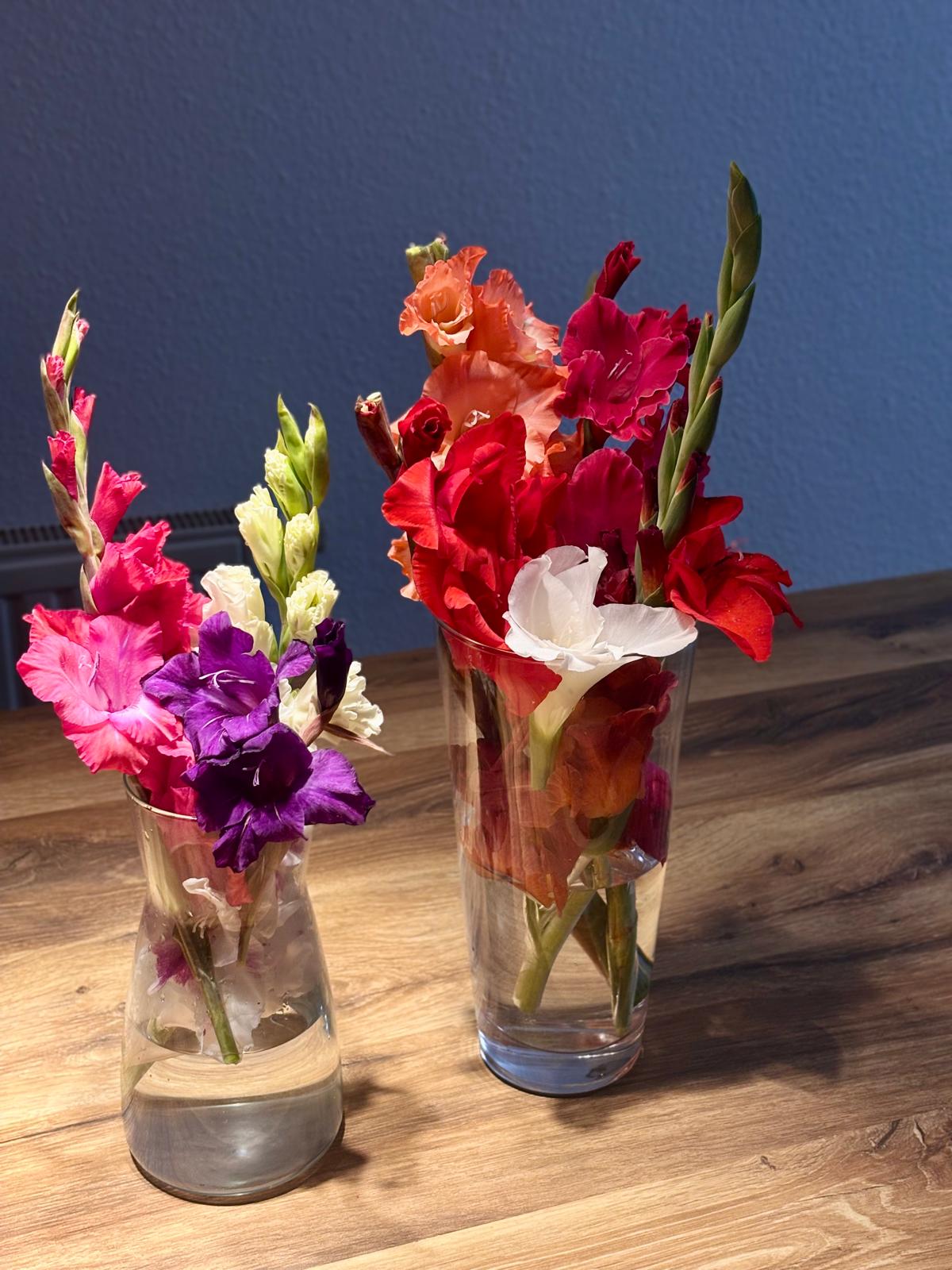 Juliana De Almeida Araújo's photo 3